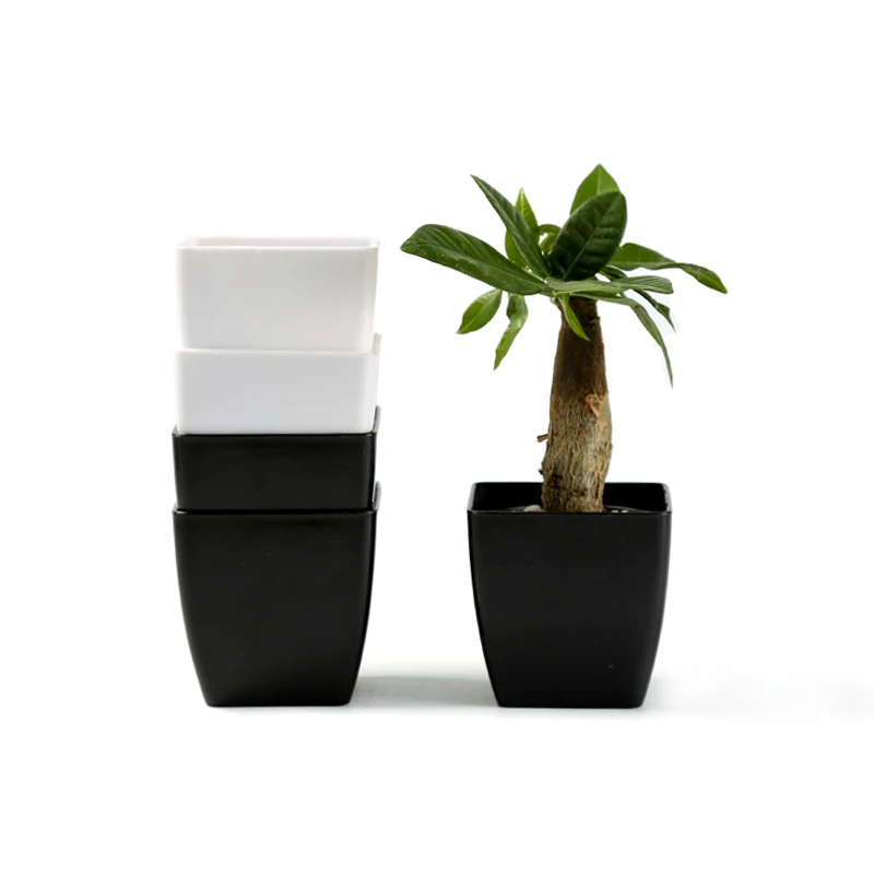 Yicai Garden Colorful Plantpots Office Desk Mini Square Succulent Flower Plant Pot For Home, White stone
Yicai Garden Colorful Plantpots Office Desk Mini Square Succulent Flower Plant Pot For Home, White stone