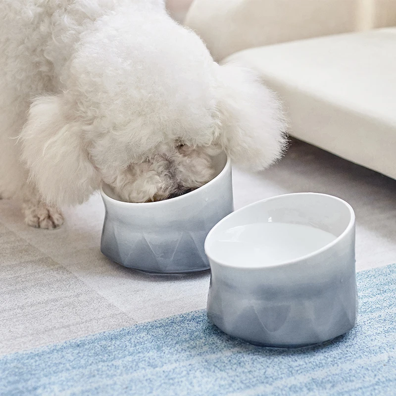 Padded height overturning-prevents pet bowl hot-selling inclined dog bowl new design dog bowl
Padded height overturning-prevents pet bowl hot-selling inclined dog bowl new design dog bowl
