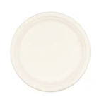 Disposable Plate Professional Manufacture Biodegradable Disposable Bagasse Tableware Large Oval Plate