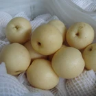 Pear Pears Pear Chinese/China Fresh Pear Ya/Golden Pears