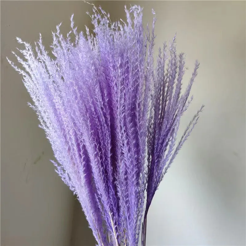 2022 Hot selling dried flowers decoration good quality dried pampas grass whisk grass for home decoration
2022 Hot selling dried flowers decoration good quality dried pampas grass whisk grass for home decoration