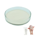 Milk flavor of feed formulation digestive powder