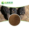 Free Sample High Purity Maca Extract Black Maca Root Powder