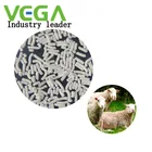 VGEA Animal Health Care Enrofloxacin 10% 20% Price Elevate affinity of enrofloxacin in animal body