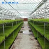 Cheap vegetable drip irrigation in greenhouse irrigation product
