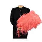 Top Quality Ostrich Feather Fluffy Ostrich Femina 30-32inch ostrich feather for sale