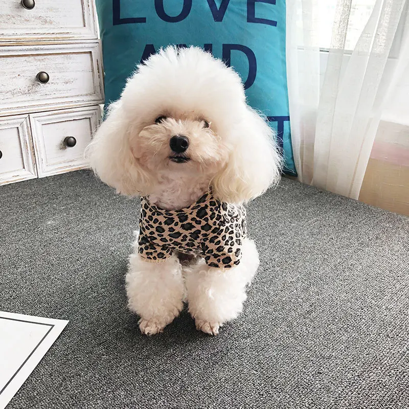 Amazon Hot Sale Lace Two-legged Cat Dog Clothes Leopard Print Supplier Pet Clothes for Small Dogs
Amazon Hot Sale Lace Two-legged Cat Dog Clothes Leopard Print Supplier Pet Clothes for Small Dogs