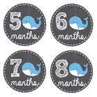 Custom printing pvc vinyl baby monthly milestone stickers
