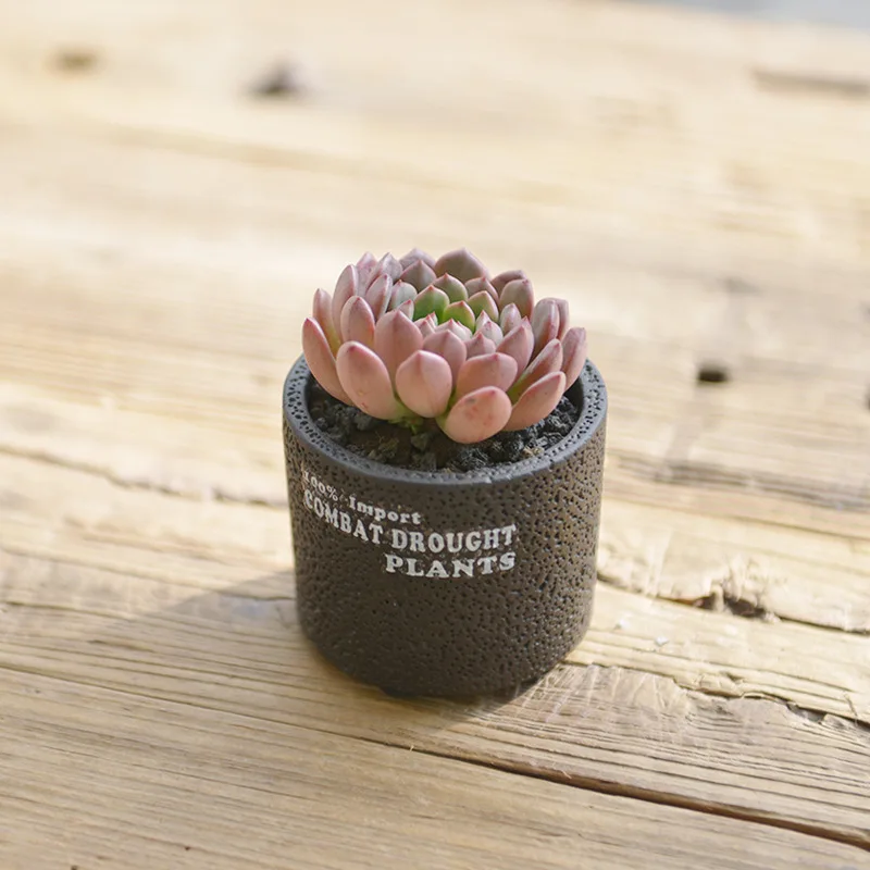 black mini small ceramic nordic artificial flower with pot flower home garden wholesale pots for plants bulk flower pots, Natural
black mini small ceramic nordic artificial flower with pot flower home garden wholesale pots for plants bulk flower pots, Natural