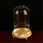 Decorative Glass Costom Display Decorative Night Light In Bell Jar Glass Dome With Rose