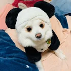 Pet Wholesale Customized Cat Clothing Cotton Hooded Pet Coat