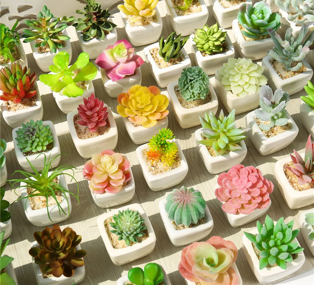 Indoor Plante Artificielle Mini Vaso Suculenta Plantas Artificiales Mini Faux Pot Artificial Succulent Plants For Living Room, Customizable
Indoor Plante Artificielle Mini Vaso Suculenta Plantas Artificiales Mini Faux Pot Artificial Succulent Plants For Living Room, Customizable