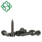 Hexagon Socket Cap Screw Stainless Steel 304 Self Tapping Hexagon Socket Head Cap Screw