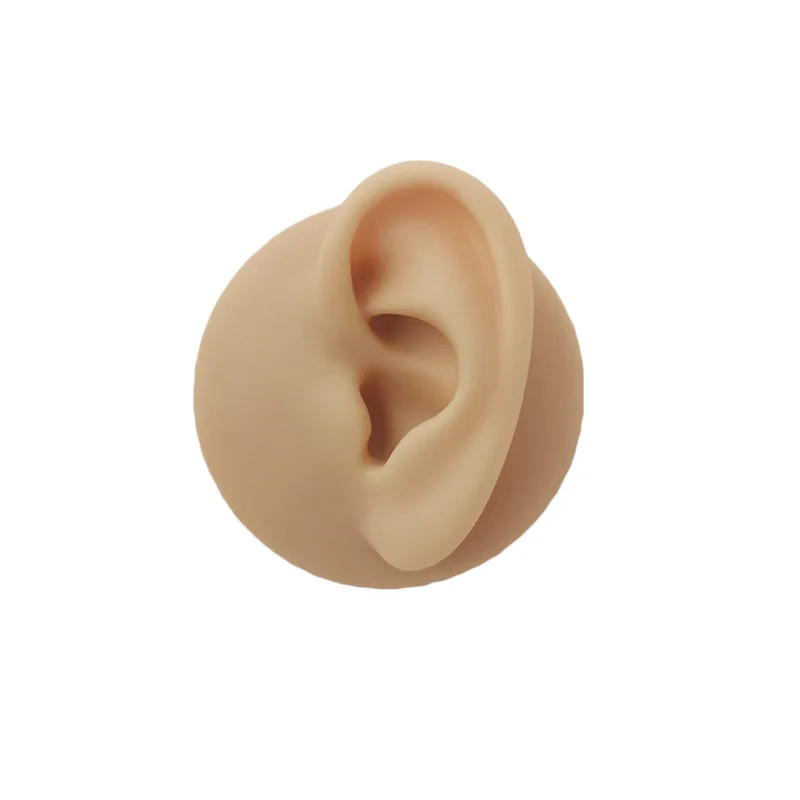 Wholesale silicone simulation human ear model jewelry earring piercing display with bracket, Customized color
Wholesale silicone simulation human ear model jewelry earring piercing display with bracket, Customized color