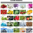 Cheap Promotional Custom Paper Car Air Freshener Hanging