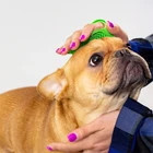 Pets Bath Brush Massage Comb for Long & Short Hair Medium Large Dogs Cats