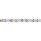 5 Years Warranty Super Bright New High Cri 90/95 8mm Pcb Width 24V 240 Leds/m Smd 2110 Led Strip Lighting