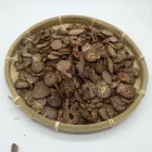Betel Nut Betel Nuts High Quality Betel Nut Factory Direct Sales Low Price Dried Betel Nut