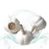 /product-detail/wholesale-price-per-ton-china-fresh-garlic-62236968407.html