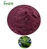/product-detail/superfruit-powder-spay-dried-juice-concentrate-natural-flavor-bilberry-powder-62339868212.html