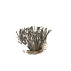 Unique decoration twig candlestick decoration