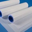 Hot sale ptfe sheet roll transparent PTFE film