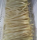 Canned Canned 370ml New Product Canned White Asparagus Tips And Cuts