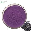 /product-detail/100-pure-freeze-dried-black-goji-berry-powder-black-wolfberry-powder-62257413706.html