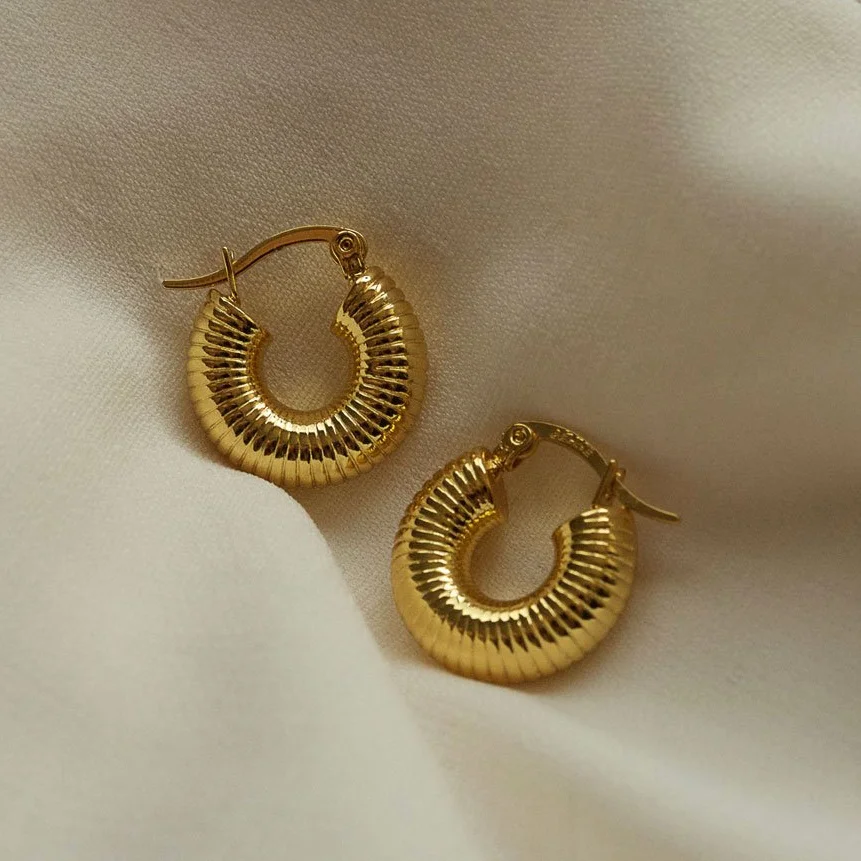Minimalist Jewelry Female Hoop Earring Hammered Hoop Earring Stainless Steel Gold Hoop Earring
Minimalist Jewelry Female Hoop Earring Hammered Hoop Earring Stainless Steel Gold Hoop Earring