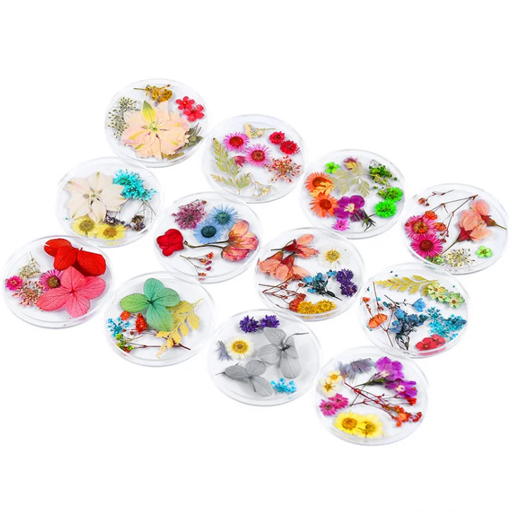 Nail Dried Flower Decorations Natural Flower Nail Art Dry Flowers For Nails, As image show
Nail Dried Flower Decorations Natural Flower Nail Art Dry Flowers For Nails, As image show