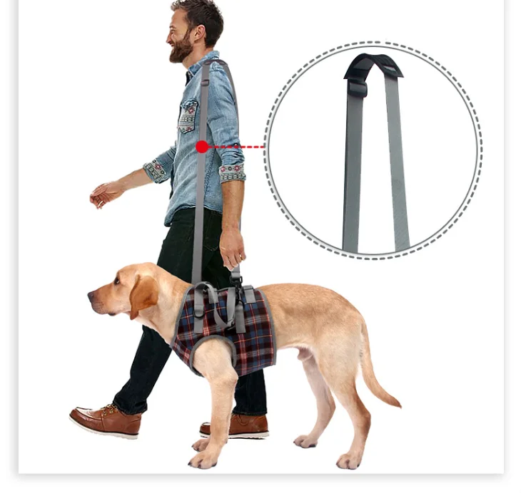 Fashionable Grid Dog Assist Accessories Adjustable Pet Harness Or Back Legs Belt, Elderly dog auxiliary belt
Fashionable Grid Dog Assist Accessories Adjustable Pet Harness Or Back Legs Belt, Elderly dog auxiliary belt