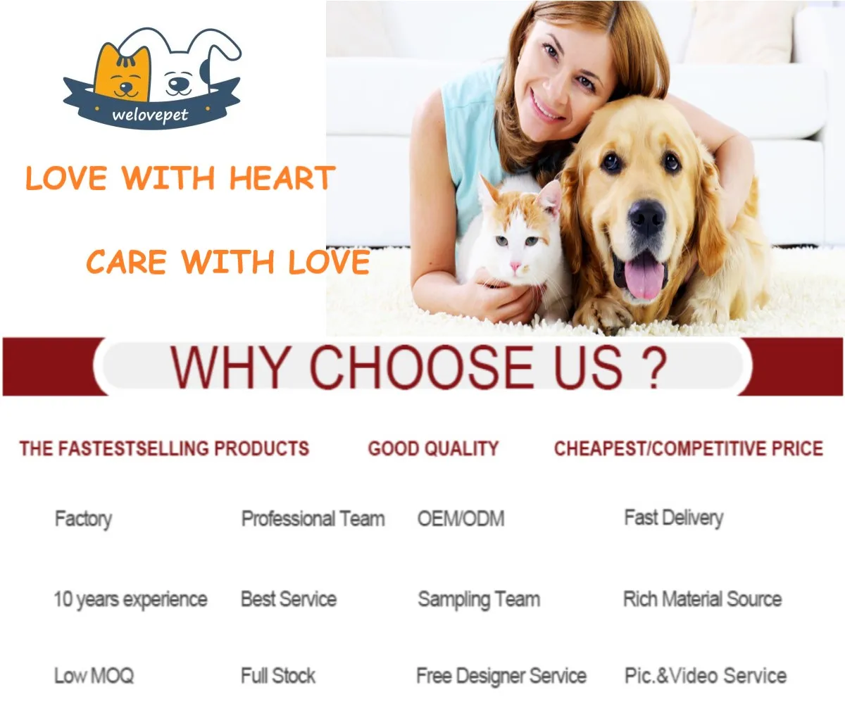  Discover the Best Chewy.com Pet Supplies for Happy and Healthy Pets