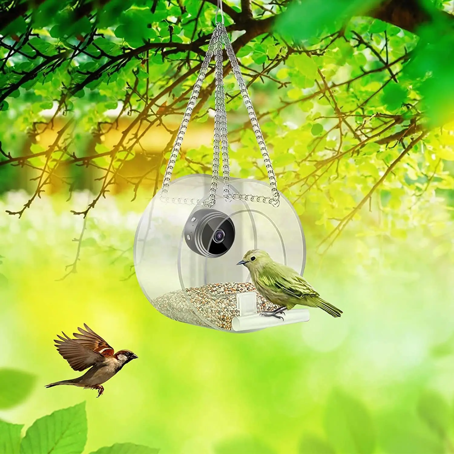 Smart Bird Feeder with Camera WIFI Connected 1080P Real-timeviewing and Recording USB Charging Mini Camera Small Pet Supplies
Smart Bird Feeder with Camera WIFI Connected 1080P Real-timeviewing and Recording USB Charging Mini Camera Small Pet Supplies