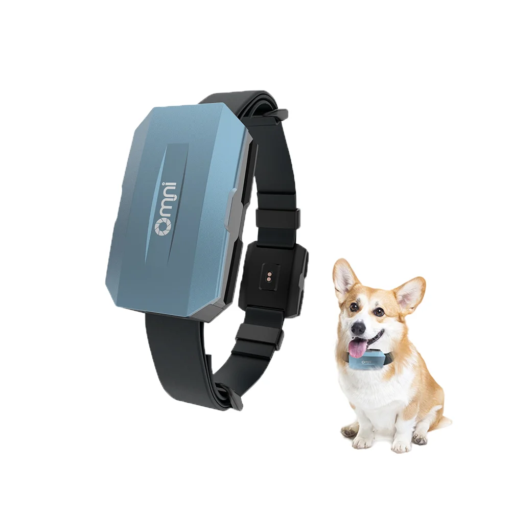 Smart Gps Tracker At Dog Use Real Time Track Playback Function Pet Fence GPS Collar
Smart Gps Tracker At Dog Use Real Time Track Playback Function Pet Fence GPS Collar