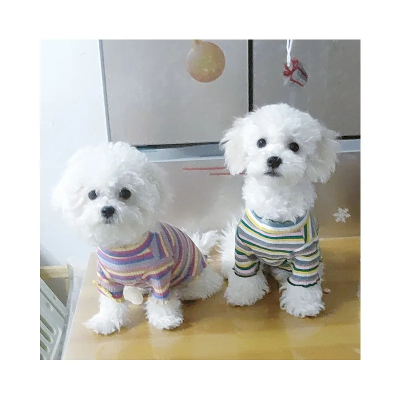 Pet clothes autumn and winter cotton dog sweater dog clothes
Pet clothes autumn and winter cotton dog sweater dog clothes