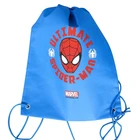 Wholesale Reusable Eco Friendly Custom Logo Printed Drawstring Non Woven Shoe Bag Shoe Dust Bag