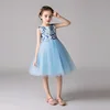 /product-detail/yoliyolei-2019-new-design-child-baby-girls-puffy-dress-modern-62225304003.html