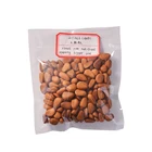 Pine Nuts Pine Nuts Pakistani Pine Nuts Afghanistan Pine Nuts 25kg