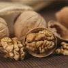 Wholesale no additive great paper shell walnut