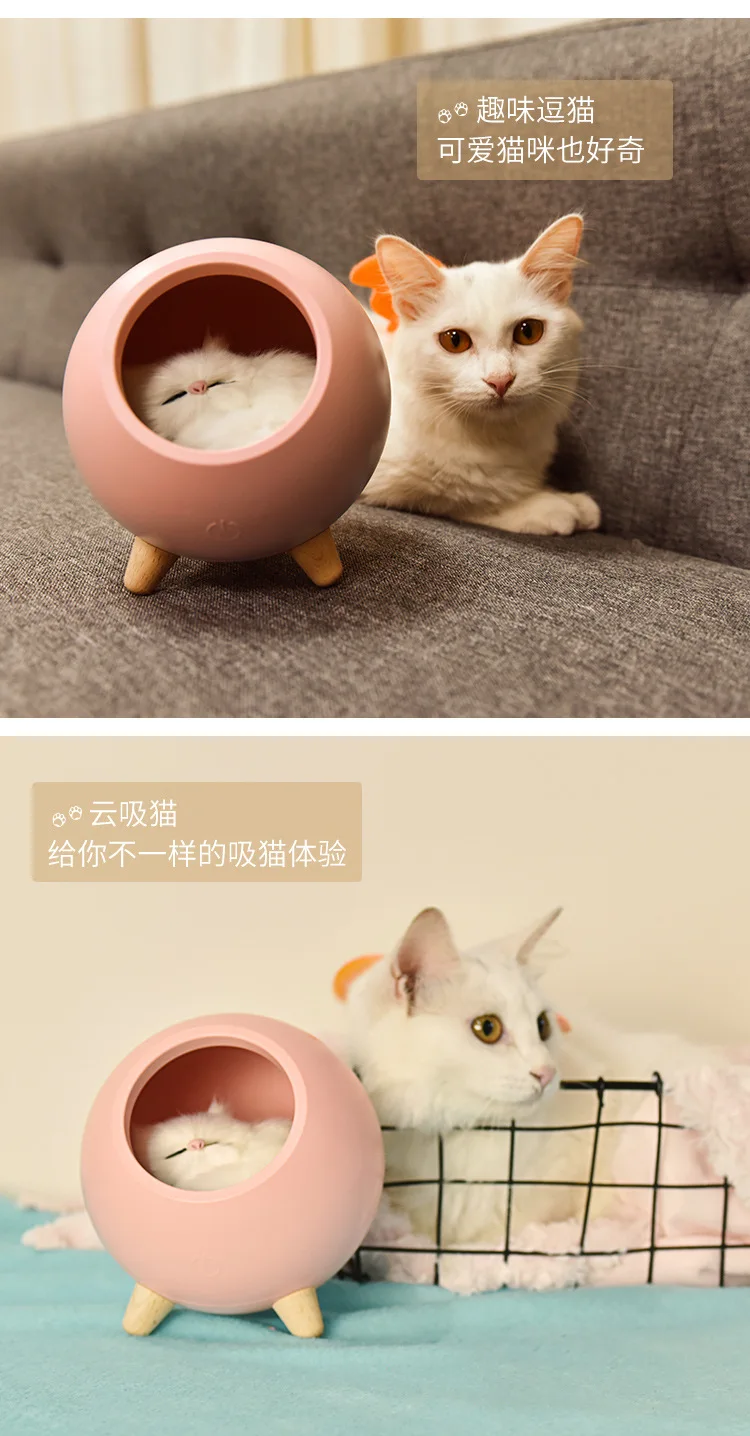 Pet Cat Room Bedroom Table Cartoon Creative Modern Lovely Led Usb Charging Atmophere Small Night Lights