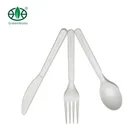 7 inch GreenWorks biodegradable plastic utensils CPLA plastic cutlery Kit set with napkin, fork,spoon and knife