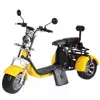 /product-detail/2020-hot-sell-citycoco-3-wheel-electric-scooter-1000w-electric-trike-adults-tricycles-for-golf-bag-60660001412.html