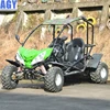 /product-detail/agy-cheap-price-off-road-mini-buggy-for-kids-with-engine-125cc-62356730653.html
