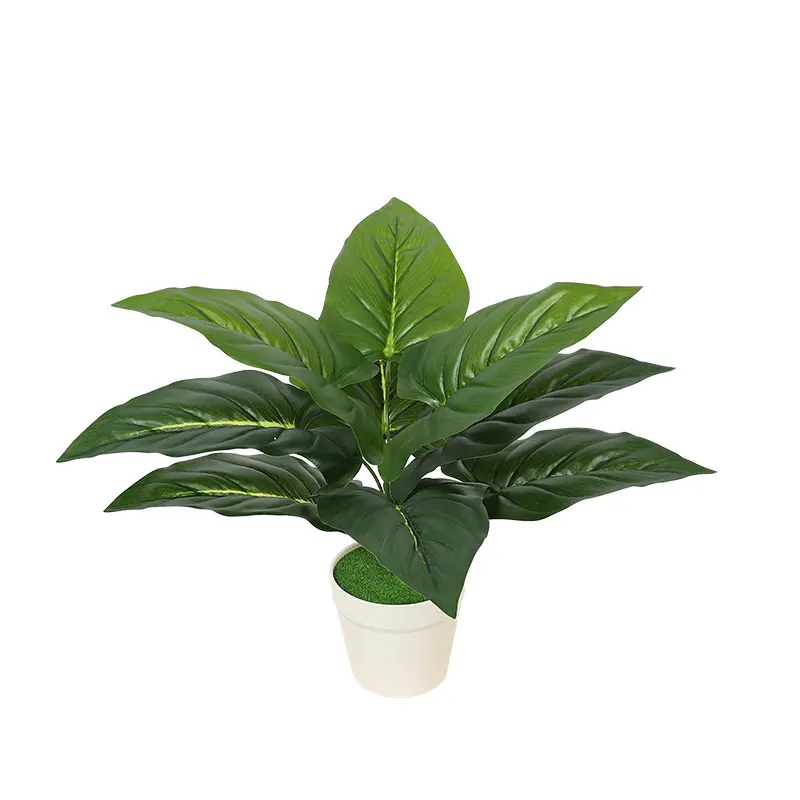Wholesale Artificial Potted Plants Interior Outdoor Simulation Plant Set Wholesalers Realistic Decor, Green
Wholesale Artificial Potted Plants Interior Outdoor Simulation Plant Set Wholesalers Realistic Decor, Green