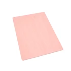 Anti-static Carpet Vinyl Floor