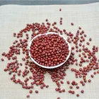 Beans Wholesale Adzuki Pearl Type Small Round Red Beans