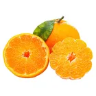 Hot sale Fresh Citrus Fruits, Fresh Mandarin Oranges