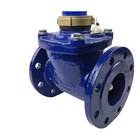 Detachable Mechanical Flow Water Removable Woltman Water Meter