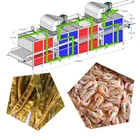 the conveyor Belt dryer fish drying machine seafood dryer