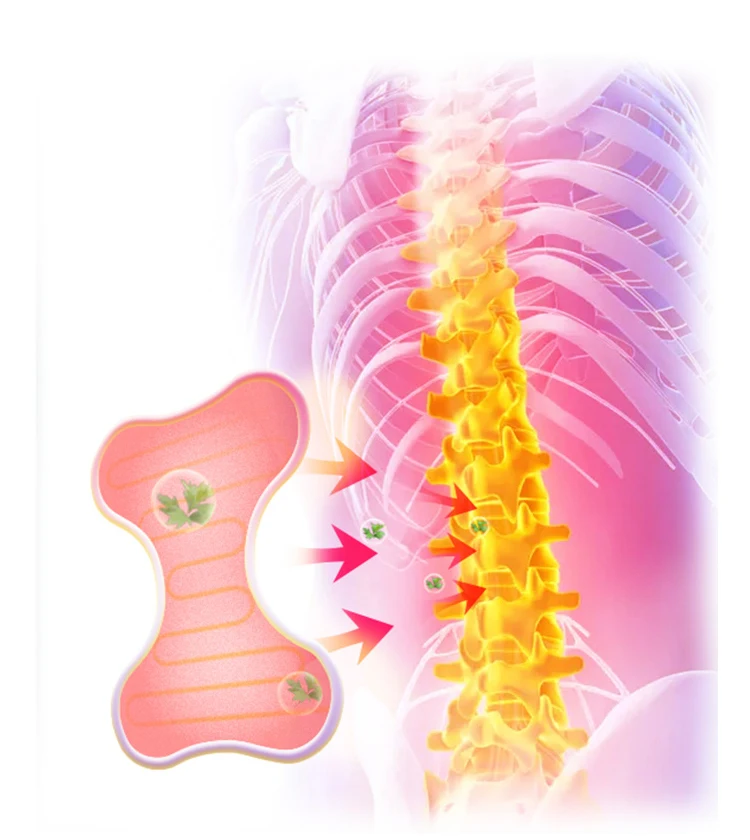 Wormwood Moxa Plaster Moxibustion Herbal Self Heating Back Pain Relieve Paste Patch